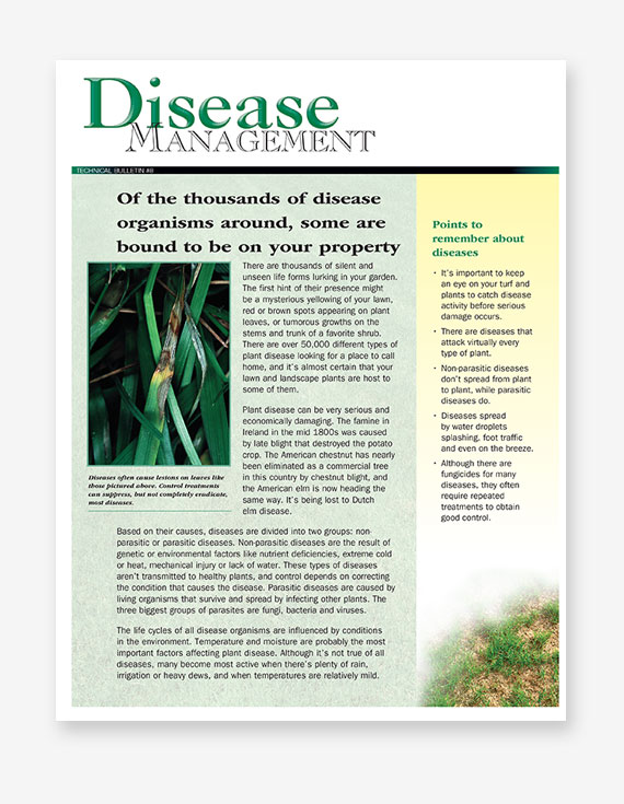 #258 - Disease Management Bulletin