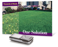 #823 - One Solution Jumbo Postcard