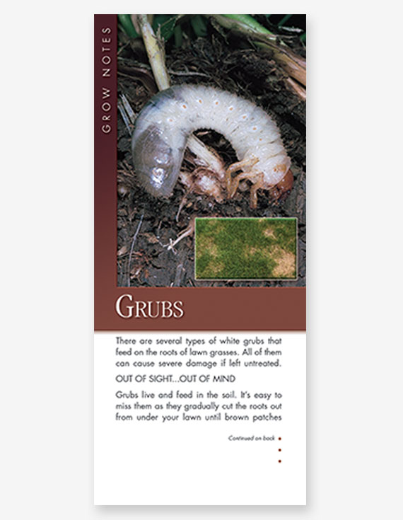 #302 - Grubs Grow Note