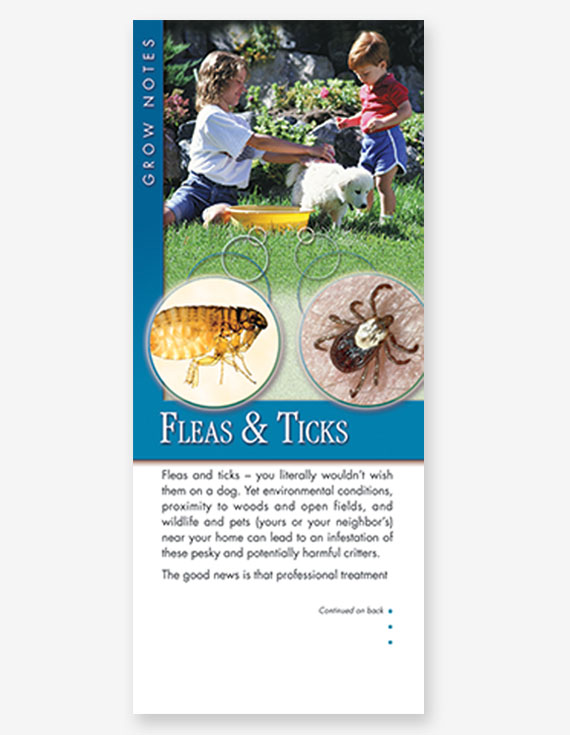#315 - Fleas and Ticks Grow Note