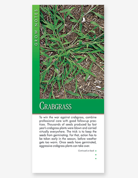 #316 - Crabgrass Grow Note