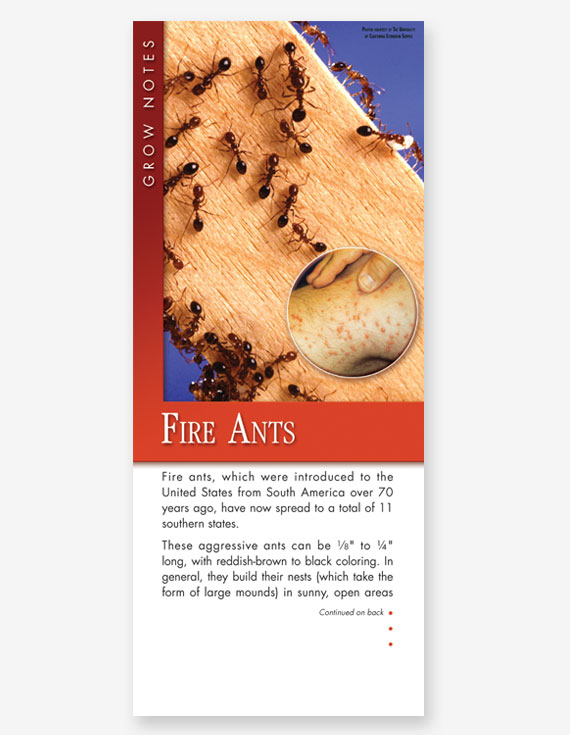 #331 - Fire Ants Grow Note