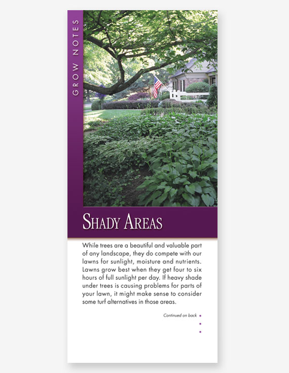 #335 - Shady Areas Grow Note