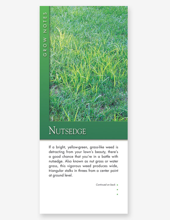 #339 - Nutsedge Grow Note