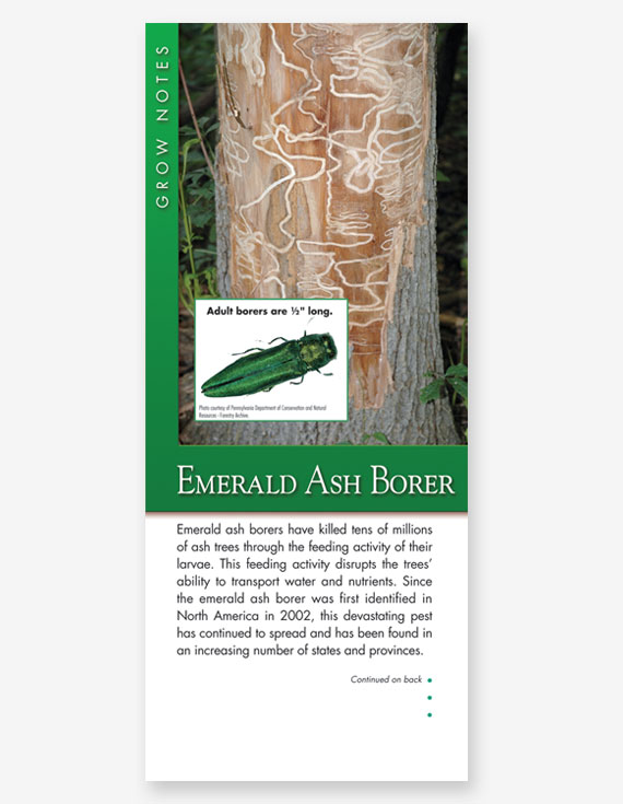 #343 - Emerald Ash Borer Grow Note
