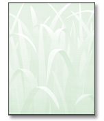 #752 - Grass Background Laser Copy Paper