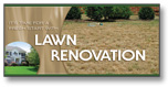 #903 - Lawn Renovation Super Jumbo Postcard