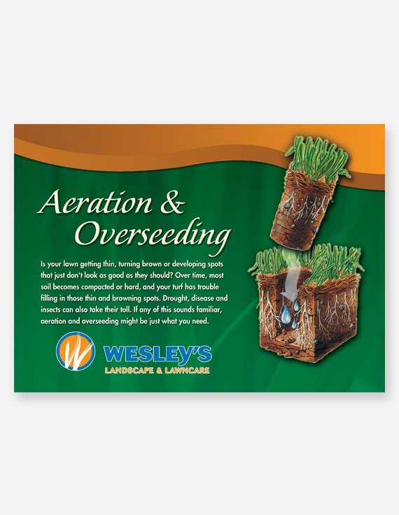 Aeration/Overseeding EDDM