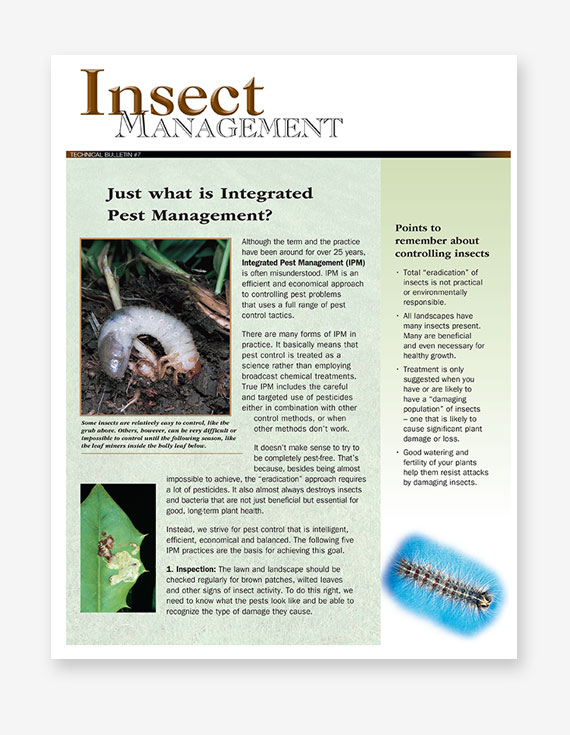 #257 - Insect Management Bulletin