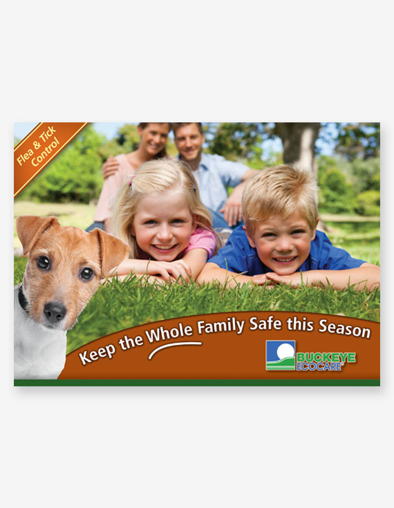 Flea & Tick  EDDM