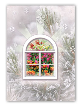 #120 - Window Greeting Card