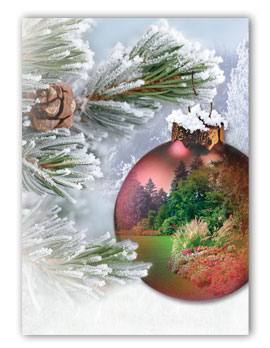 #121 - Ornament Greeting Card