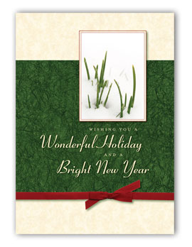 #127 - Grass In Snow Greeting Card