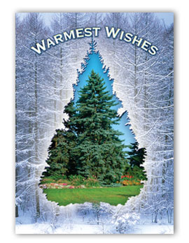 #130 - Warmest Wishes Greeting Card