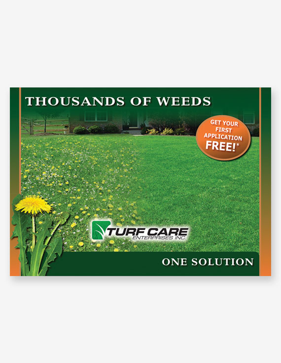 Lawn Care EDDM