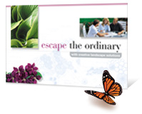#815 - Landscape Design Jumbo Postcard