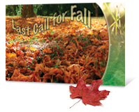 #835 - Fall Clean-up Jumbo Postcard