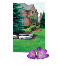 #836 - Lawn and Landscape Jumbo Postcard