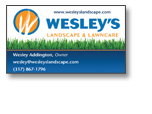 Full-Color Business Cards